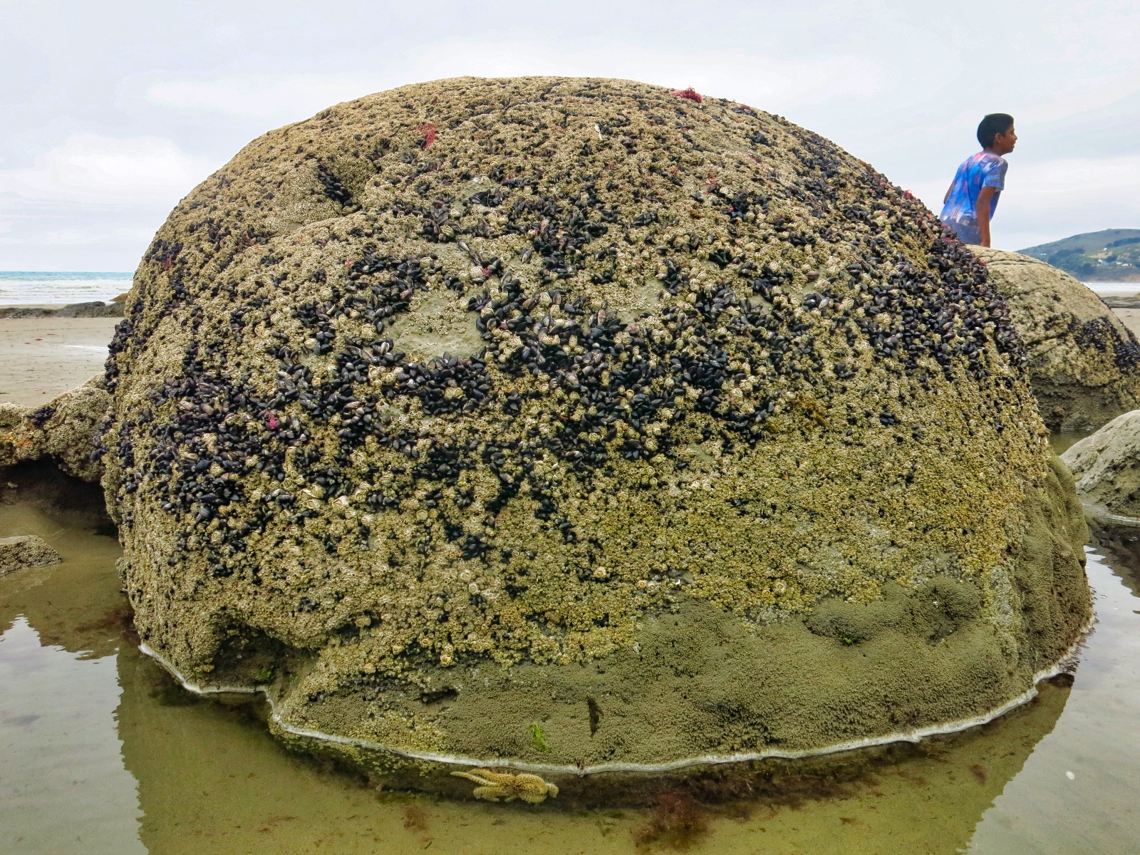 Moerki boulders